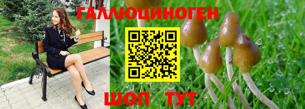 хочу наркоту  Вход с VPN  Галлюциногенные грибы Psilocybe  Лысьва  Псилоцибиновые грибы Magic Shrooms 